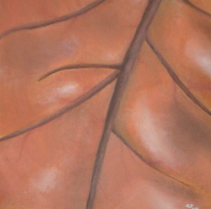 Elizabeth's Leaf
